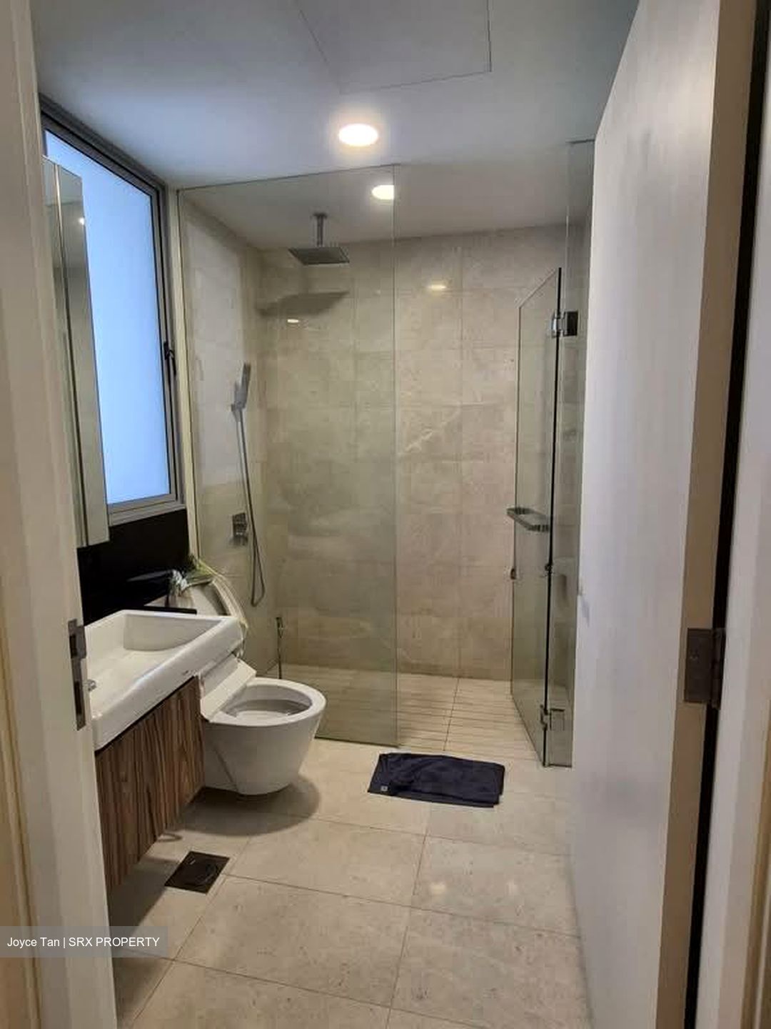 Suites @ Newton (D11), Apartment #582989011